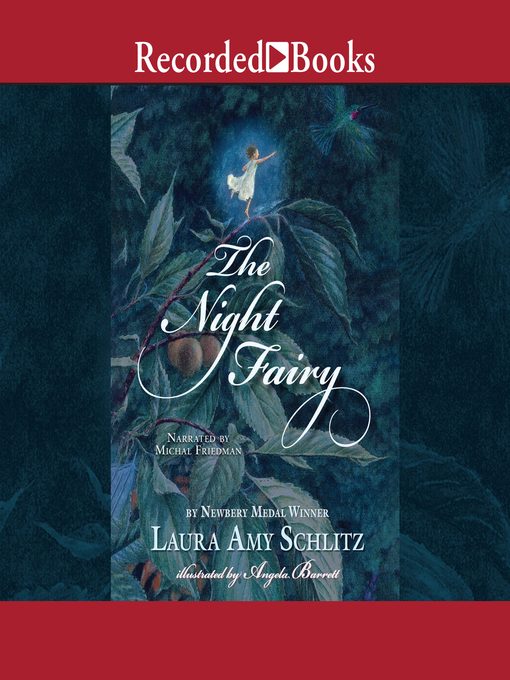 Cover image for The Night Fairy
